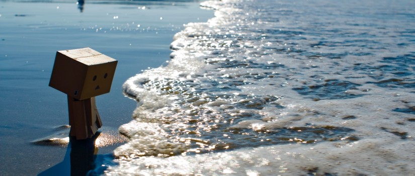 Danbo at the beach